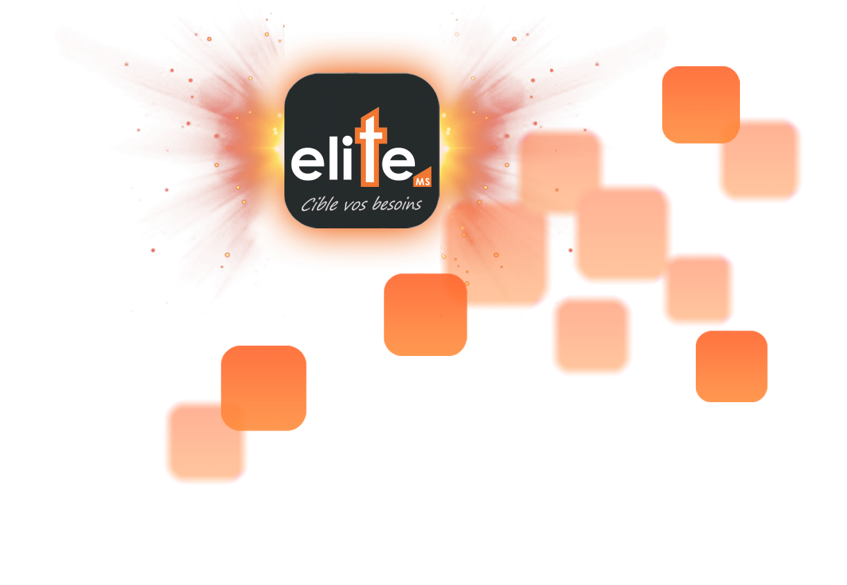 Elite MS Marketing Systeme
