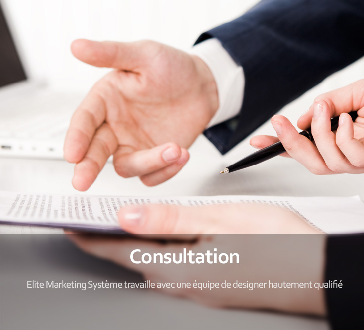 Elite MS Marketing Systeme