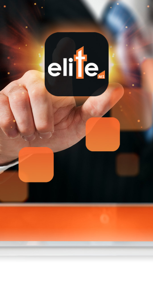 Elite MS Marketing Systeme